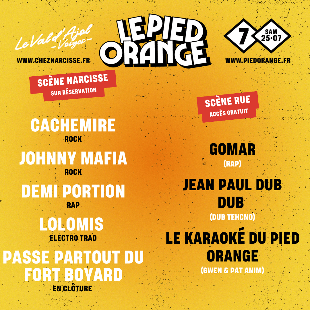 CACHEMIRE + JOHNNY MAFIA + DEMI PORTION + LOLOMIS + PASSE PARTOUT DU FORT BOAYRD // SAMEDI FESTIVAL LE PIED ORANGE